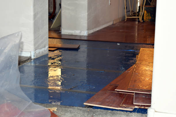 Professional Burst Pipe Cleanup technician working in Bunola, PA
